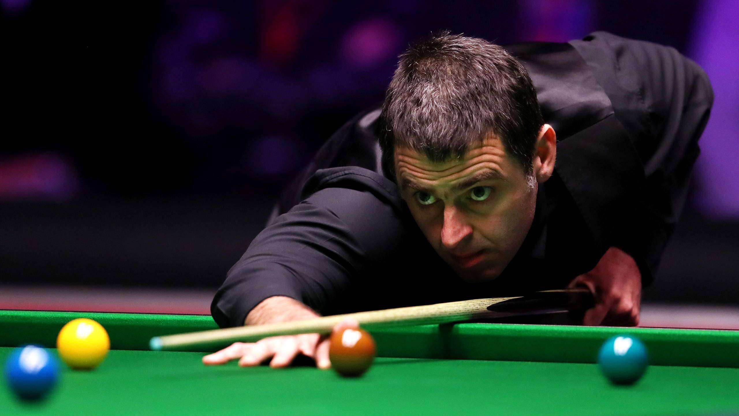 的内部团结 的内部团结