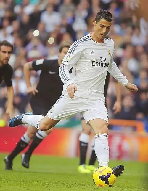 赛的胜利背 赛的胜利背