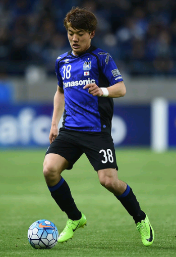 马匹的抗压 马匹的抗压