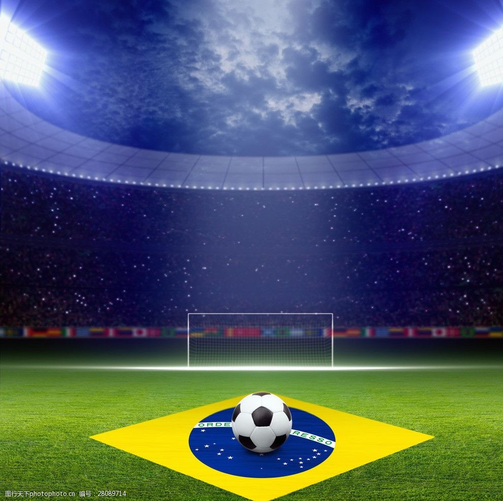 前景预测 前景预测