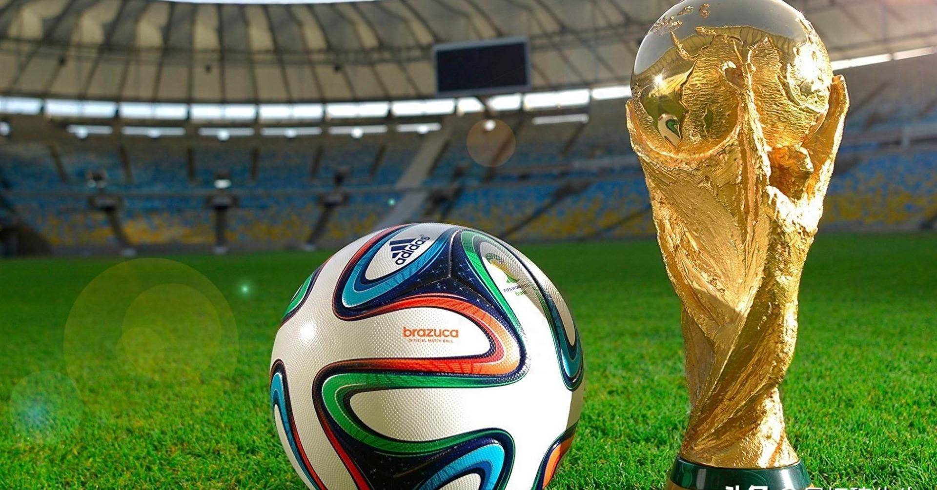 坚实的基础 坚实的基础