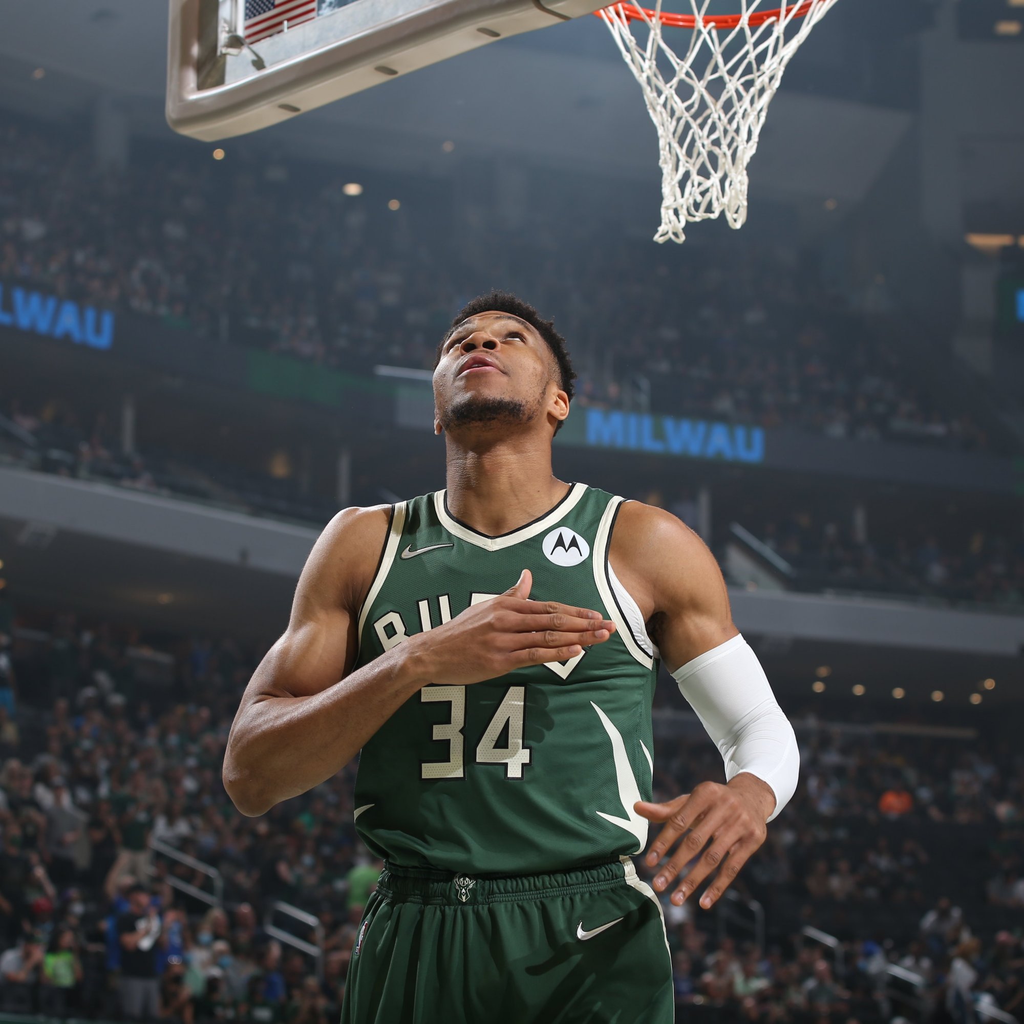 边翼卫体系 边翼卫体系